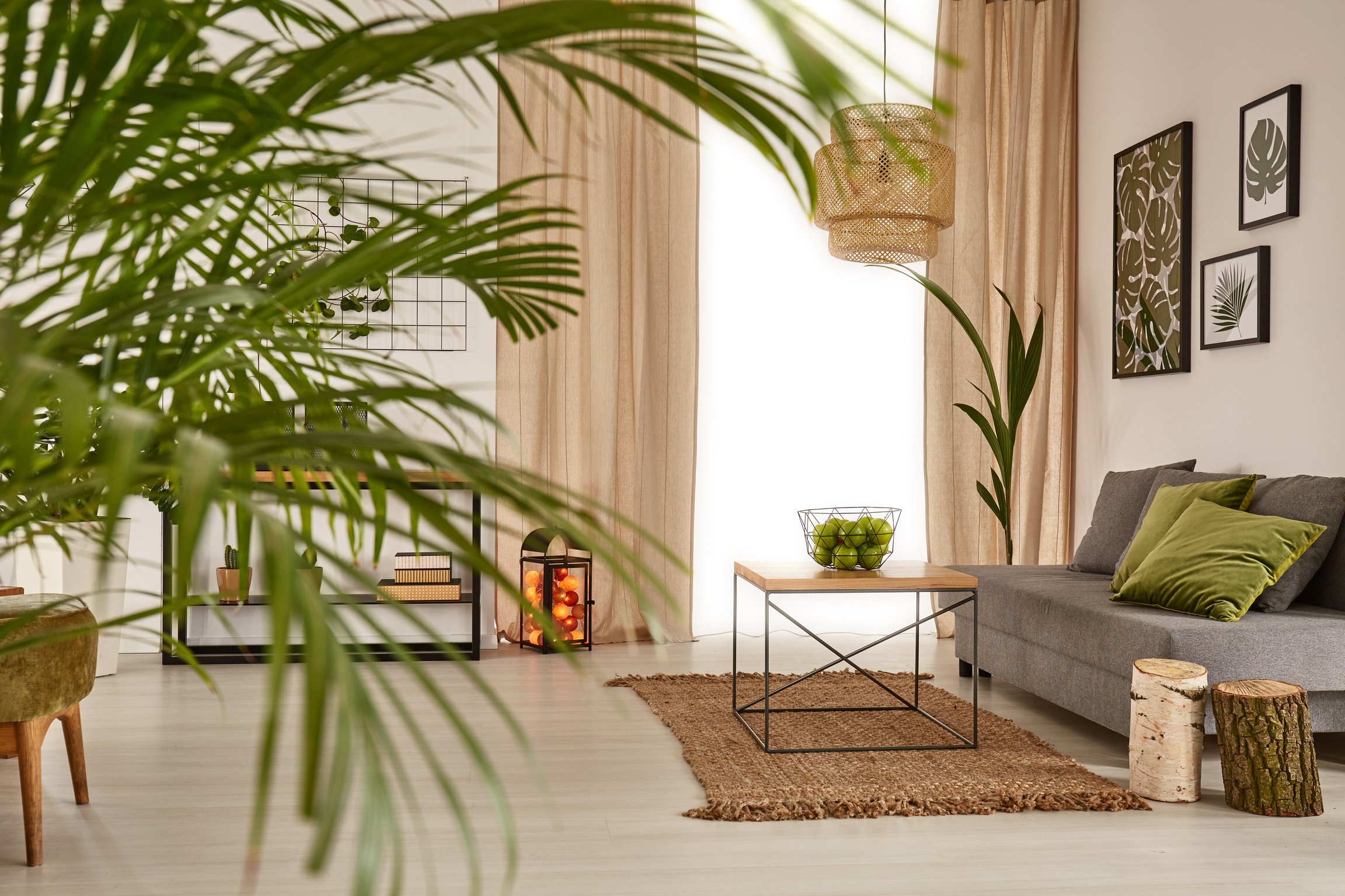 Tropical Living Room with Gray Couch and Decorative Plants